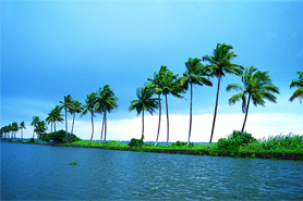 The Backwater Kerala Tour 3N 4D